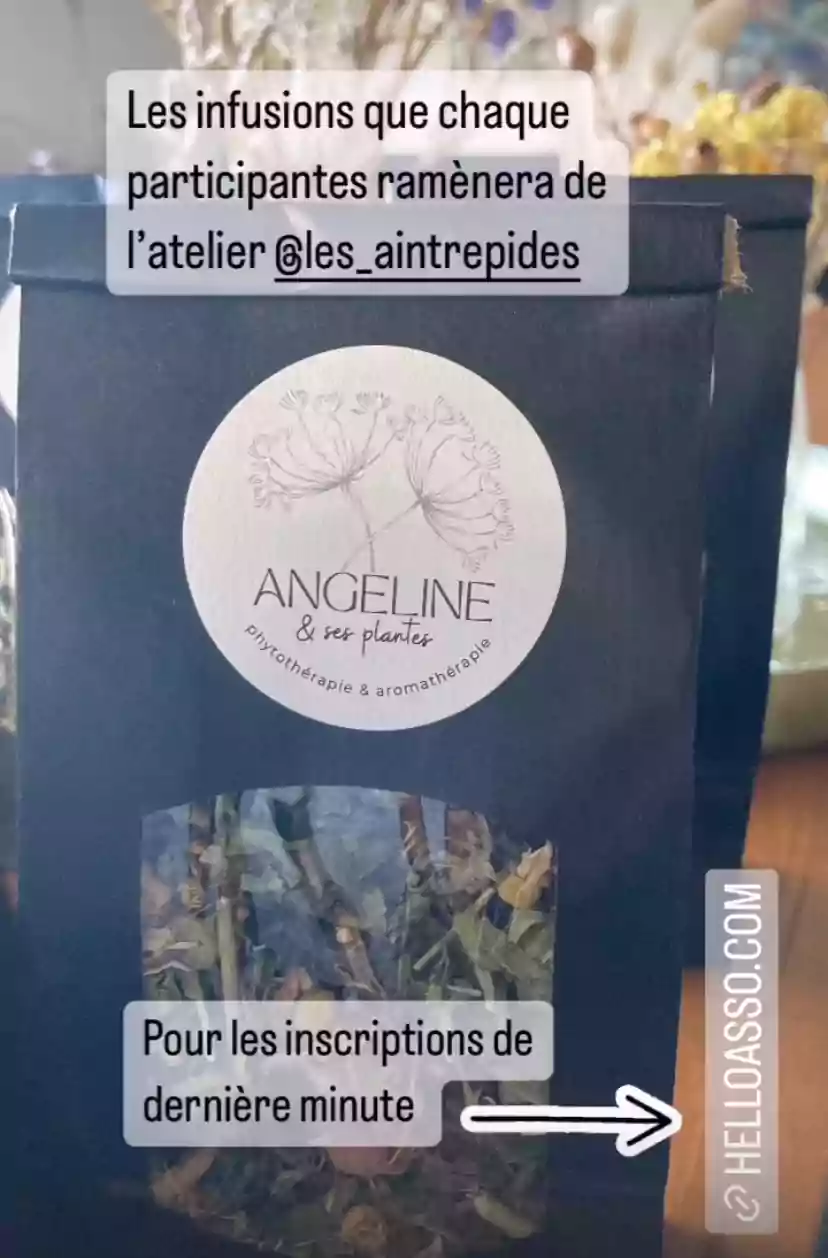 07e05ead87c24e7eec6d7e1d911276d6b961a61e